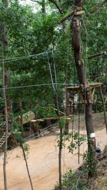 Construction d’un parcours acrobatique dans les arbres