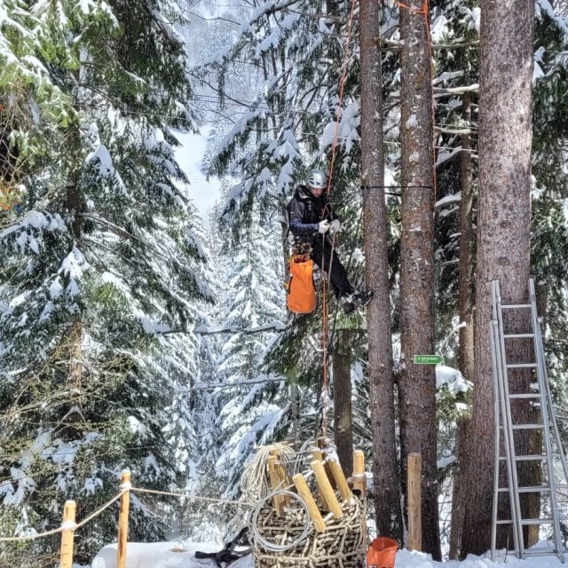 Travaux pour le parcours dans les arbres de Télécharmey