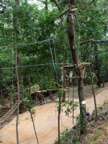 Construction d’un parcours acrobatique dans les arbres