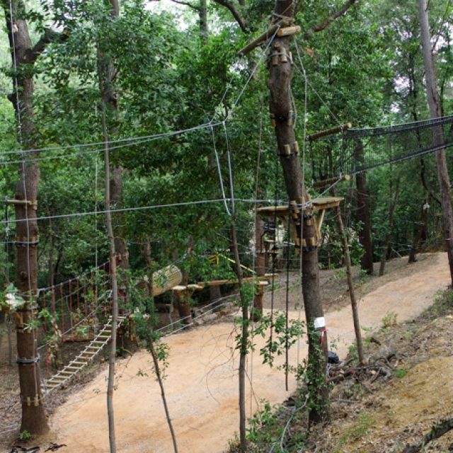 Construction d’un parcours acrobatique dans les arbres