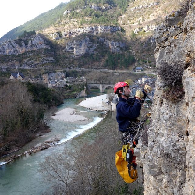 Purge de falaise Gorges du Tarn