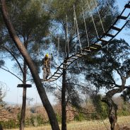 Parcours accrobranche