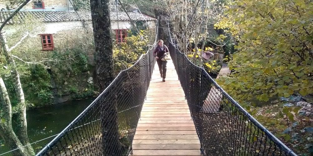 https://acrotravaux.com/wp-content/uploads/2019/12/passerelle-cévennes-Evasion.jpg