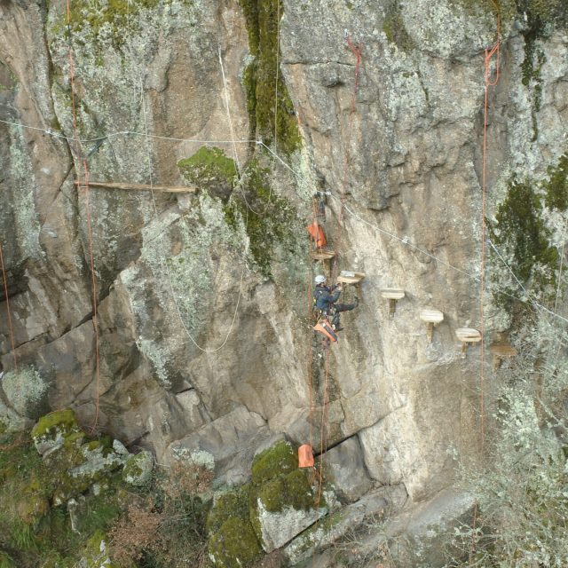 Parcours en hauteur Tonic aventure