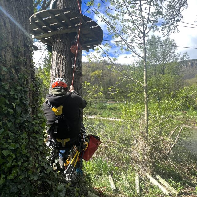 Travaux d&rsquo;entretien accrobranche Florac (48)